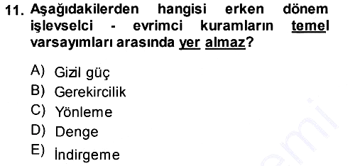 Toplumsal Değişme Kuramları 2013-2014 Ara Sınav - 11. soru
