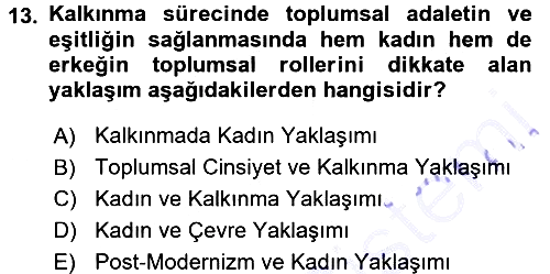 Toplumsal Değişme Kuramları 2015-2016 Dönem Sonu Sınavı - 13. soru