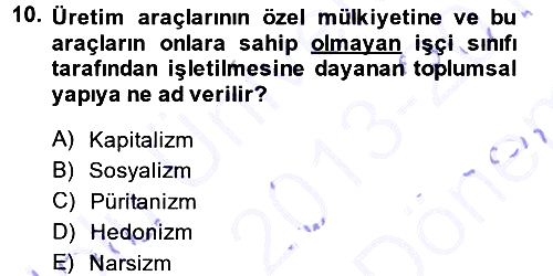 Türkiye´nin Toplumsal Yapısı 2013-2014 Dönem Sonu Sınavı - 10. soru