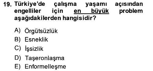 Türkiye´nin Toplumsal Yapısı 2013-2014 Dönem Sonu Sınavı - 19. soru