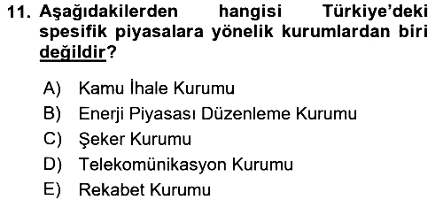 Türkiye´nin Toplumsal Yapısı 2016-2017 Dönem Sonu Sınavı - 11. soru