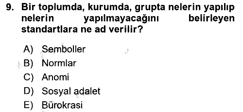 Türkiye´nin Toplumsal Yapısı 2023-2024 Yaz Okulu Sınavı - 9. soru