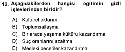 Türkiye´nin Toplumsal Yapısı 2024-2025 Yaz Okulu Sınavı - 12. soru