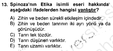 Zihin Felsefesi 2013-2014 Ara Sınav - 13. soru