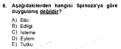 Zihin Felsefesi 2013-2014 Dönem Sonu Sınavı - 6. soru