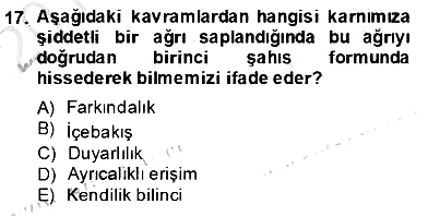 Zihin Felsefesi 2013-2014 Dönem Sonu Sınavı - 17. soru
