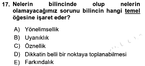 Zihin Felsefesi 2016-2017 Dönem Sonu Sınavı - 17. soru