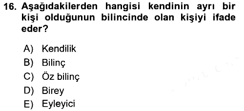Zihin Felsefesi 2017-2018 Dönem Sonu Sınavı - 16. soru