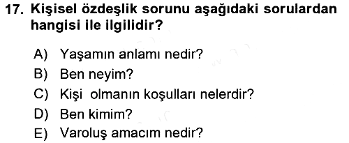 Zihin Felsefesi 2017-2018 Dönem Sonu Sınavı - 17. soru