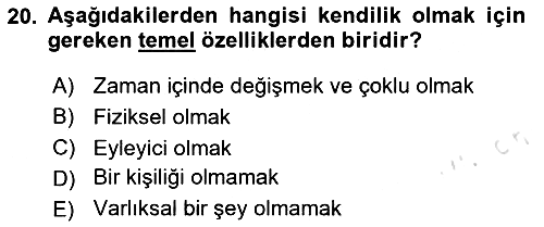 Zihin Felsefesi 2023-2024 Dönem Sonu Sınavı - 20. soru
