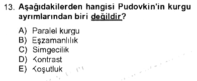 Hareketli Görüntünün Tarihi 2012-2013 Tek Ders Sınavı - 13. soru