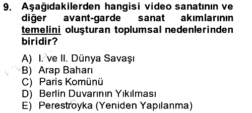 Hareketli Görüntünün Tarihi 2013-2014 Tek Ders Sınavı - 9. soru