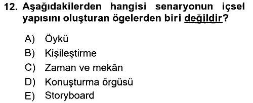 Radyo ve Televizyonda Program Yapımı 2016-2017 3 Ders Sınavı - 12. soru