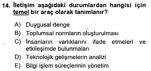 Bilgi Görselleştirme 2024-2025 Yaz Okulu Sınavı - 14. soru