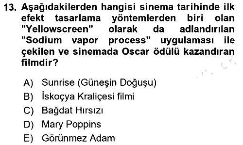 Dijital Görüntüleme İşleme Yöntemleri 2024-2025 Yaz Okulu Sınavı - 13. soru