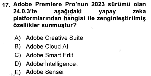 Dijital Video Kurgu Ve Efekt 2024-2025 Ara Sınav - 17. soru