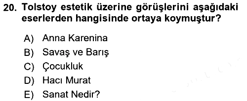 Estetik ve Sanat Felsefesi 2018-2019 Dönem Sonu Sınavı - 20. soru