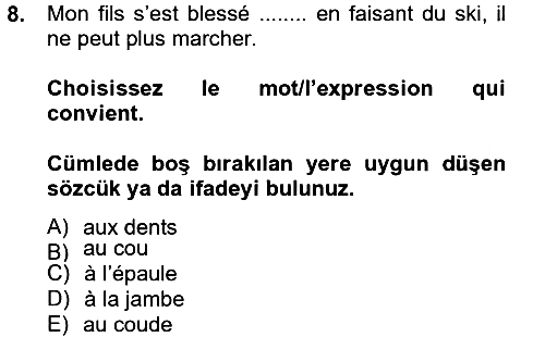 Fransızca 2 2012-2013 Ara Sınav - 8. soru