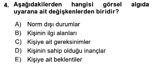 Görsel Estetik 2018-2019 3 Ders Sınavı - 4. soru