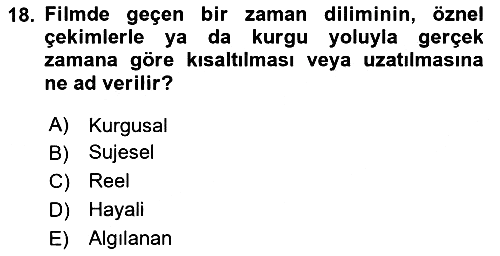 Görsel Estetik 2024-2025 Yaz Okulu Sınavı - 18. soru