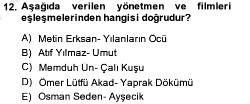 Görsel Kültür 2013-2014 Dönem Sonu Sınavı - 12. soru
