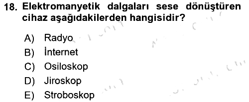 Görsel Kültür 2016-2017 Dönem Sonu Sınavı - 18. soru
