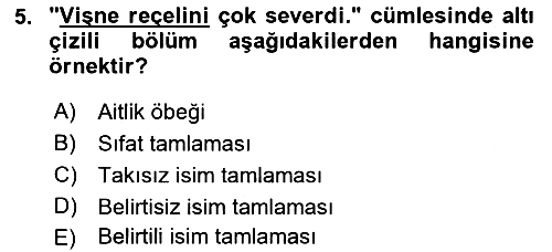 Türk Dili 1 2019-2020 Dönem Sonu Sınavı - 5. soru