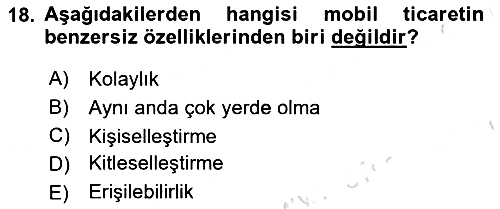 İnternet Ve Mobil Pazarlama 2024-2025 Yaz Okulu Sınavı - 18. soru