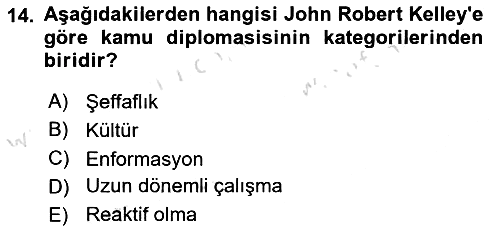Kamu Diplomasisi Ve Uluslararası Halkla İlişkiler 2024-2025 Ara Sınav - 14. soru