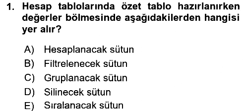 Temel Bilgi Teknolojileri 1 2016-2017 Dönem Sonu Sınavı - 1. soru