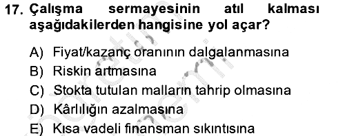 Finansal Yönetim 1 2014-2015 Dönem Sonu Sınavı - 17. soru