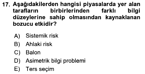 Finansal Yönetim 2 2022-2023 Yaz Okulu Sınavı - 17. soru
