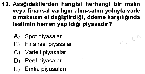 Finansal Yönetim 2 2023-2024 Yaz Okulu Sınavı - 13. soru