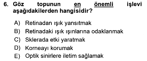 Havacılık Emniyeti 2019-2020 Ara Sınav - 6. soru