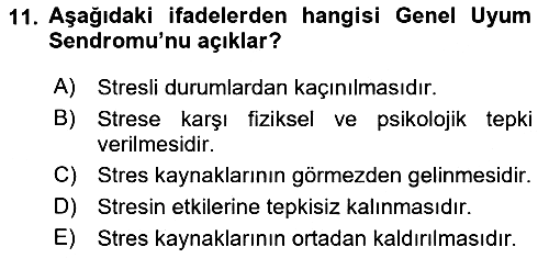 Havacılık Emniyeti 2019-2020 Ara Sınav - 11. soru