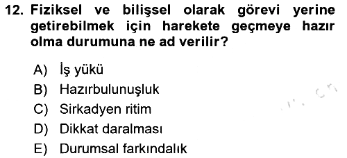 Havacılık Emniyeti 2024-2025 Ara Sınav - 12. soru
