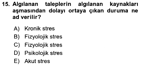 Havacılık Emniyeti 2024-2025 Ara Sınav - 15. soru