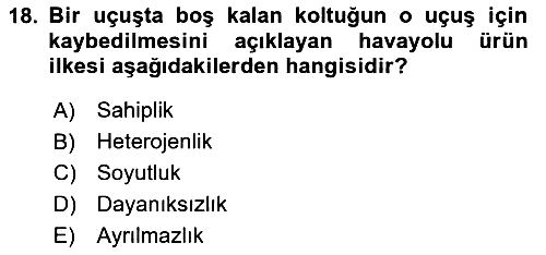 Havayolu Pazarlaması 2024-2025 Ara Sınav - 18. soru