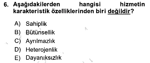 Havayolu Pazarlaması 2021-2022 Yaz Okulu Sınavı - 6. soru
