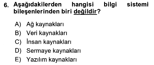 İşletme Bilgi Sistemleri 2018-2019 3 Ders Sınavı - 6. soru