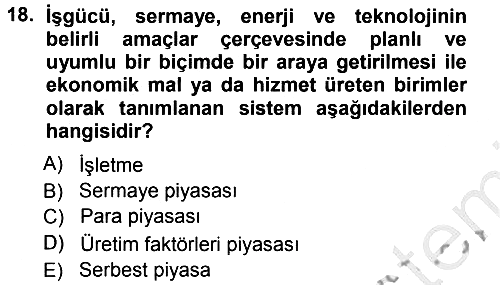 İşletme Bilgi Sistemleri 2012-2013 Ara Sınav - 18. soru