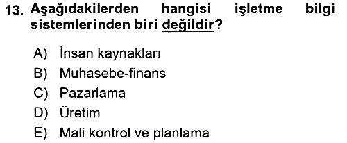 İşletme Bilgi Sistemleri 2017-2018 Ara Sınav - 13. soru