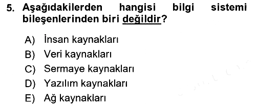 İşletme Bilgi Sistemleri 2018-2019 Ara Sınav - 5. soru