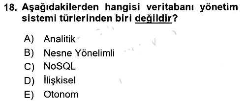 İşletme Bilgi Sistemleri 2021-2022 Ara Sınav - 18. soru