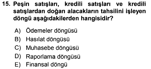 İşletme Bilgi Sistemleri 2016-2017 Dönem Sonu Sınavı - 15. soru