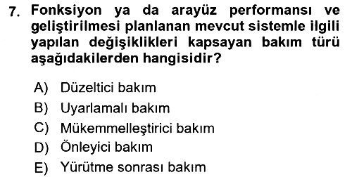 İşletme Bilgi Sistemleri 2018-2019 Yaz Okulu Sınavı - 7. soru