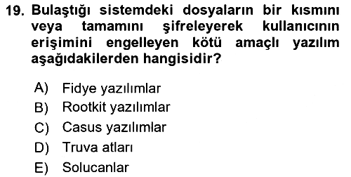 İşletme Bilgi Sistemleri 2024-2025 Yaz Okulu Sınavı - 19. soru