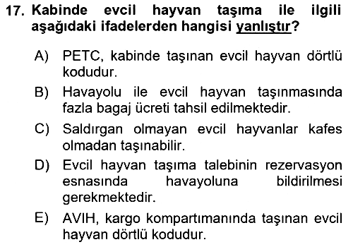 Yolcu Hizmetleri 2023-2024 Ara Sınav - 17. soru