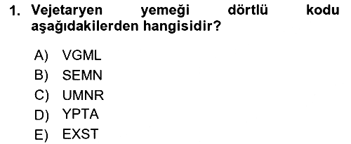 Yolcu Hizmetleri 2024-2025 Dönem Sonu Sınavı - 1. soru