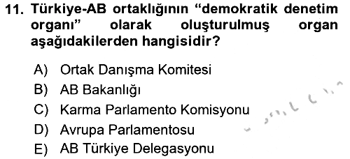 Avrupa Birliği ve Türkiye İlişkileri 2016-2017 Ara Sınav - 11. soru